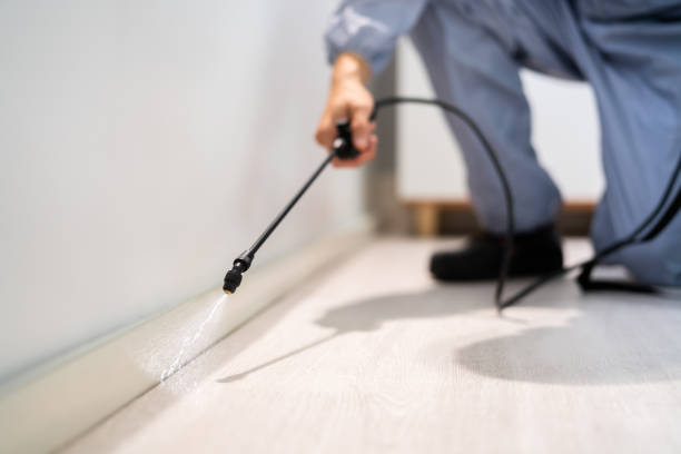 Licensed Fumigation Services service in North Tustin, CA - Nex Pest Control