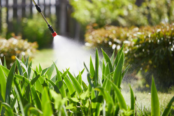 24/7 Emergency Fumigation Services experts in North Tustin, CA