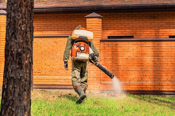 Trusted Bed Bug Control service in North Tustin, CA - Nex Pest Control